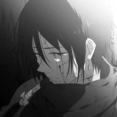 田曦薇全集有广数量95花断层第一